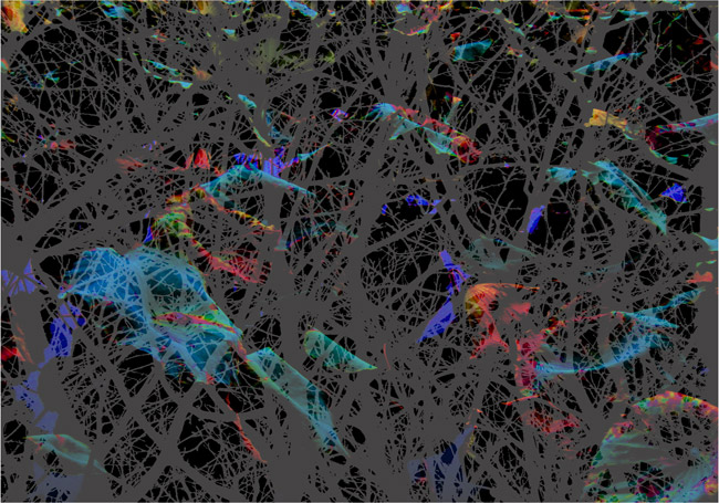 Neuronal Networking